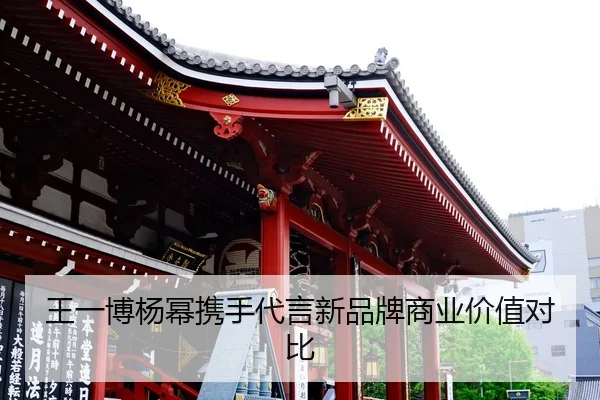 wang-yi-bo-yang-mi-xie-shou-dai-yan-xin-pin-pai-shang-ye-jia-zhi-dui-bi-2-440.jpg